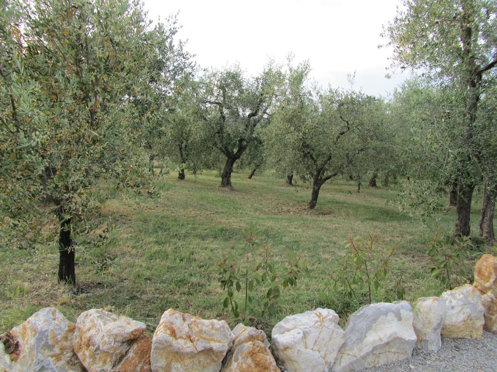 Agriturismo Borghetto Il Montino Раполано Терме Екстериор снимка