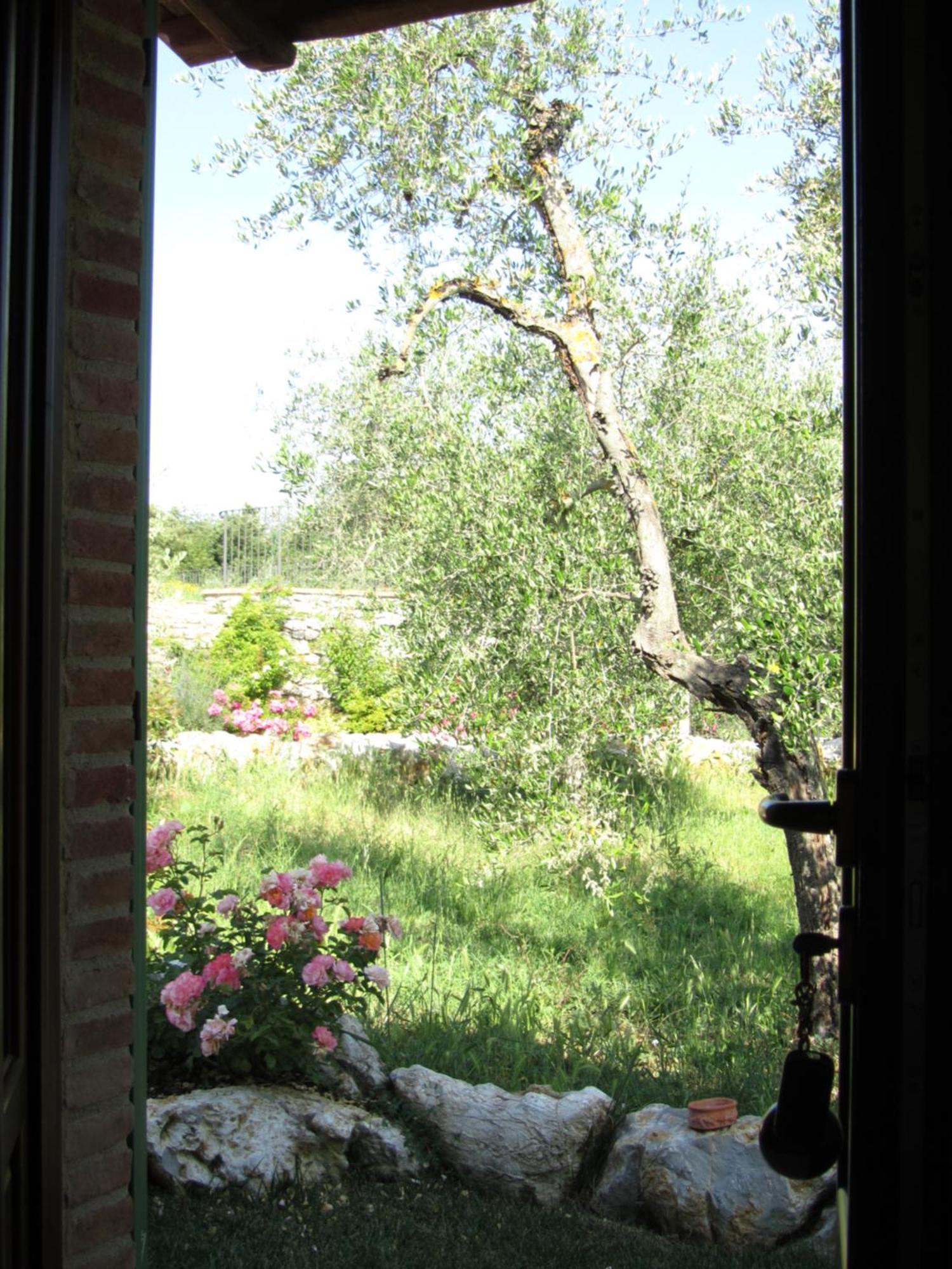 Agriturismo Borghetto Il Montino Раполано Терме Екстериор снимка