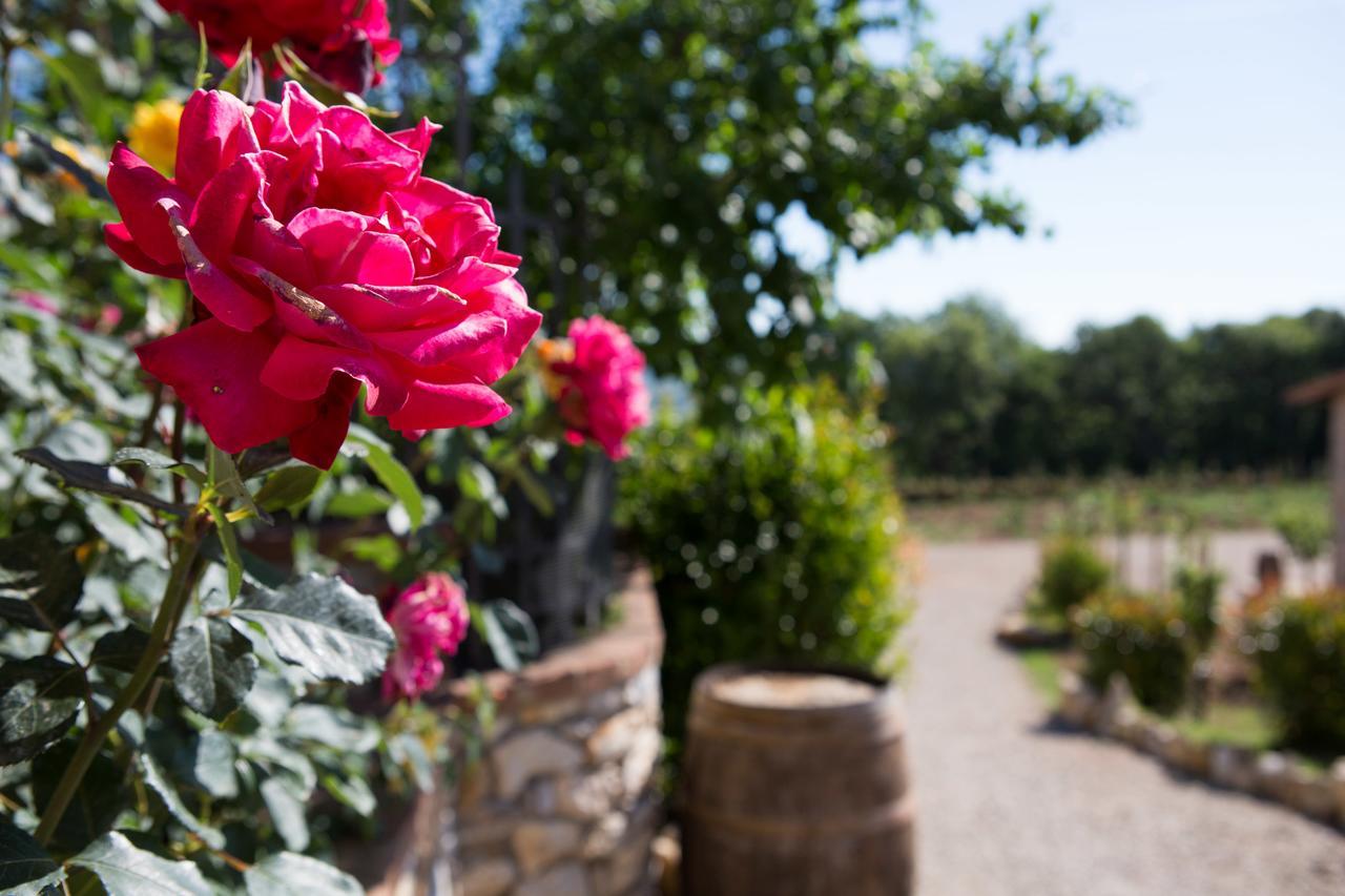 Agriturismo Borghetto Il Montino Раполано Терме Екстериор снимка