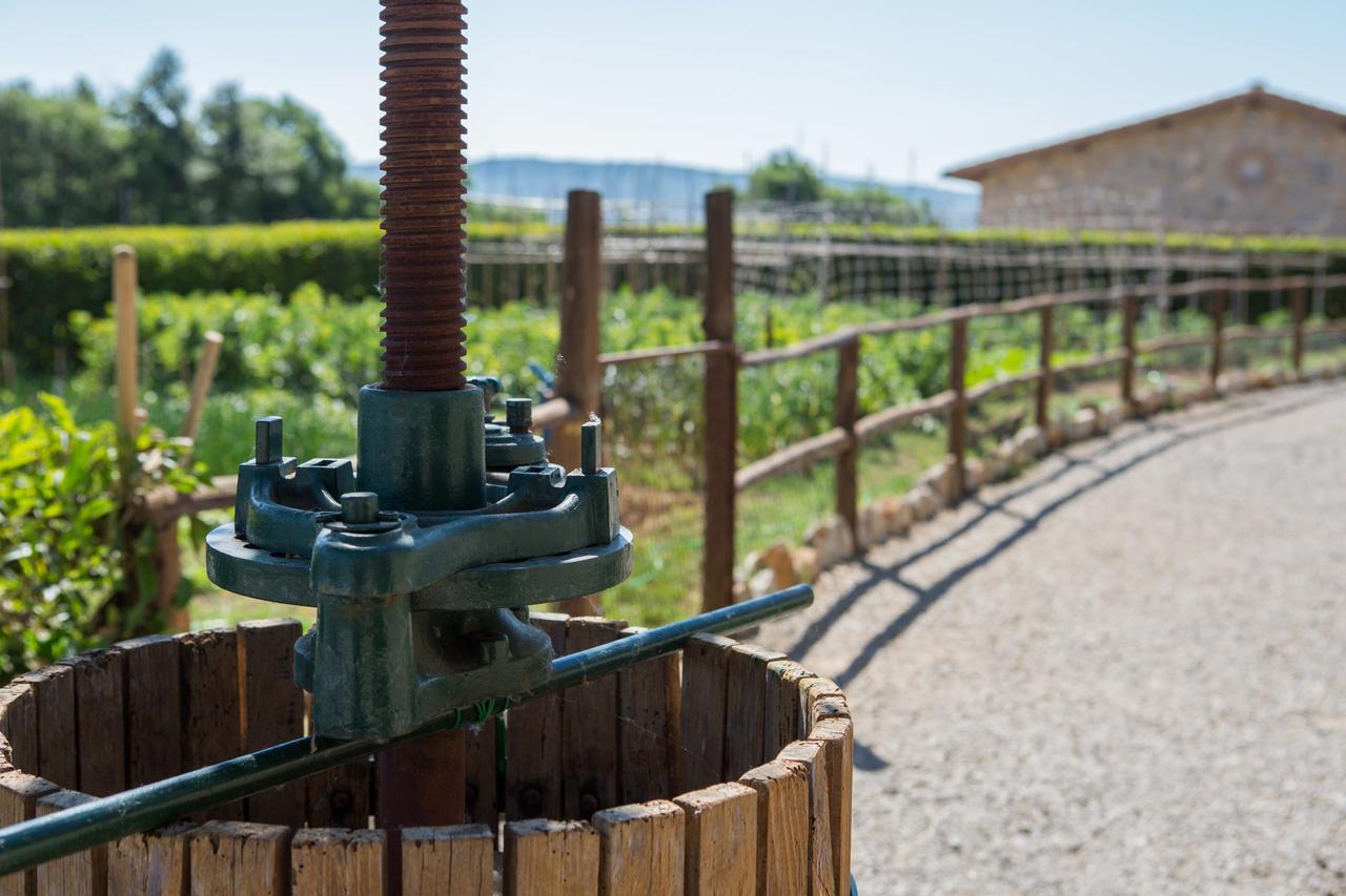 Agriturismo Borghetto Il Montino Раполано Терме Екстериор снимка