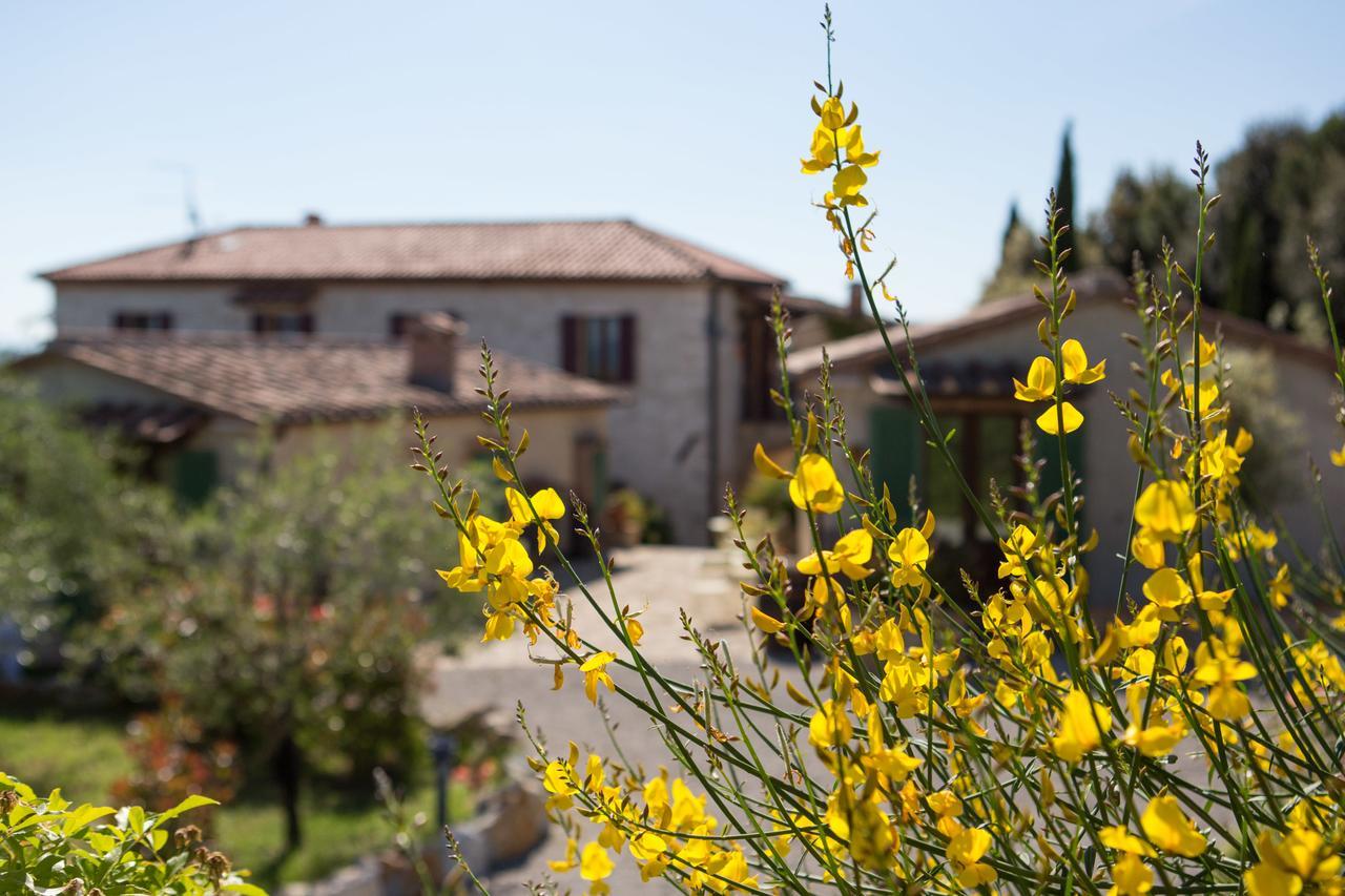 Agriturismo Borghetto Il Montino Раполано Терме Екстериор снимка