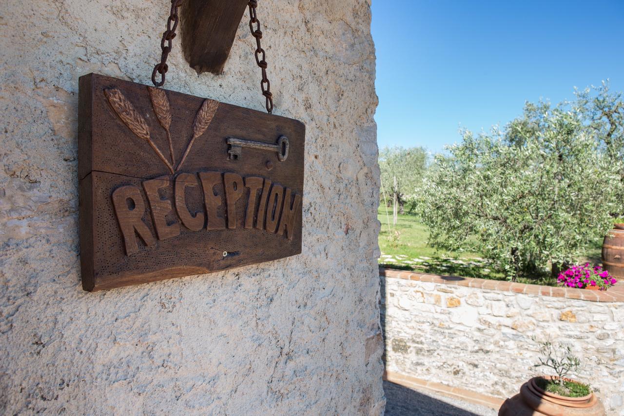 Agriturismo Borghetto Il Montino Раполано Терме Екстериор снимка